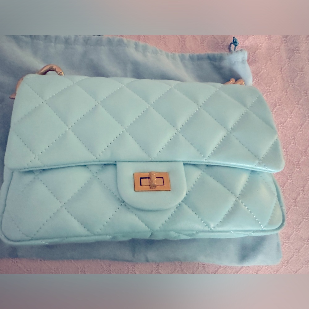 Tiffany & Fred Baby Blue Chain shoulder bag